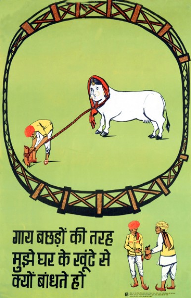 gaay bachhdon ki tarah…