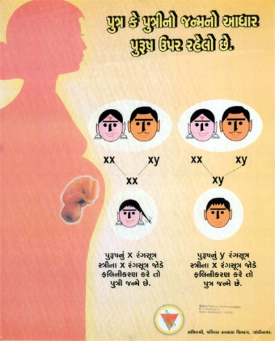 gujarati-9